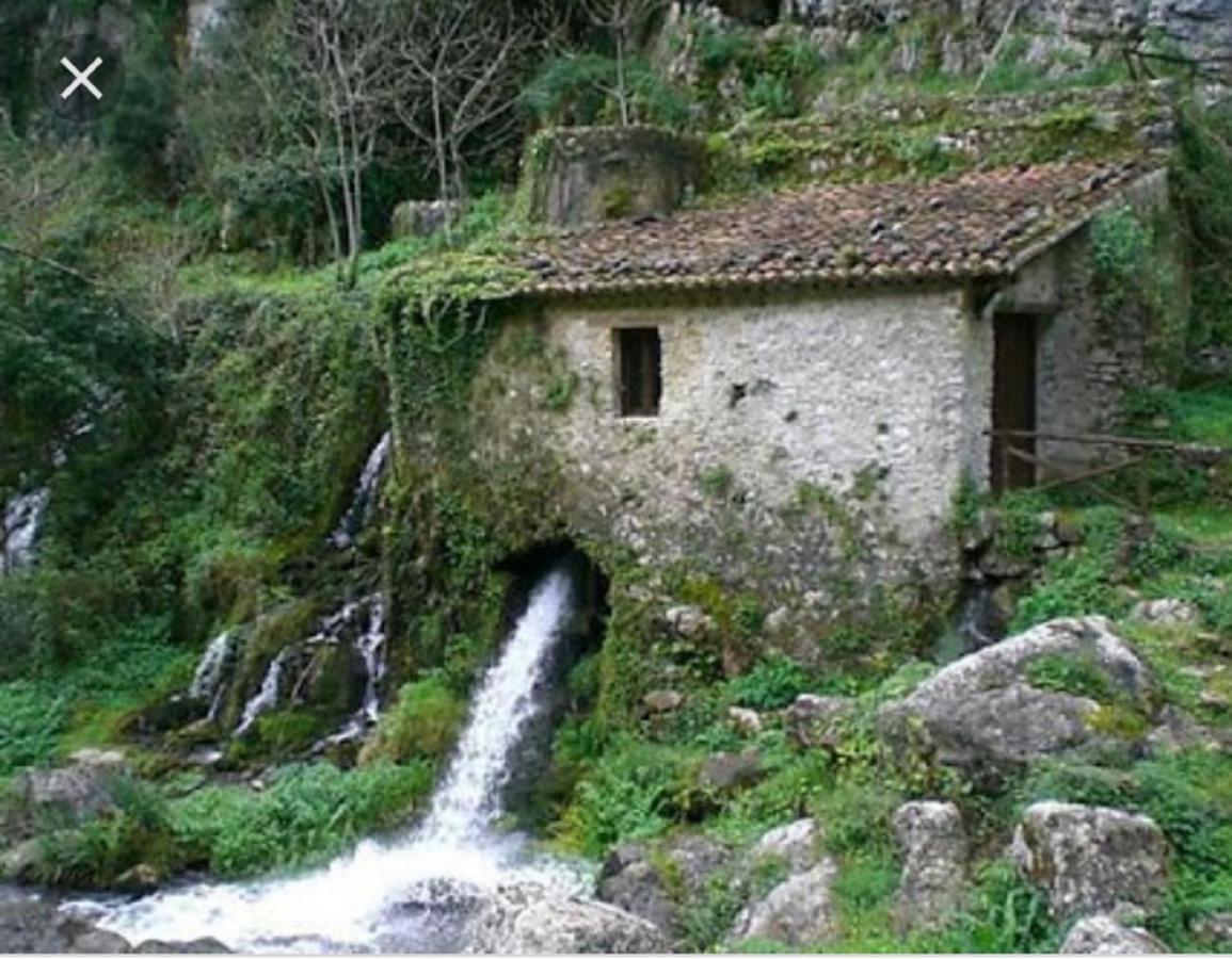 B&B Il Melograno Tortorella Εξωτερικό φωτογραφία