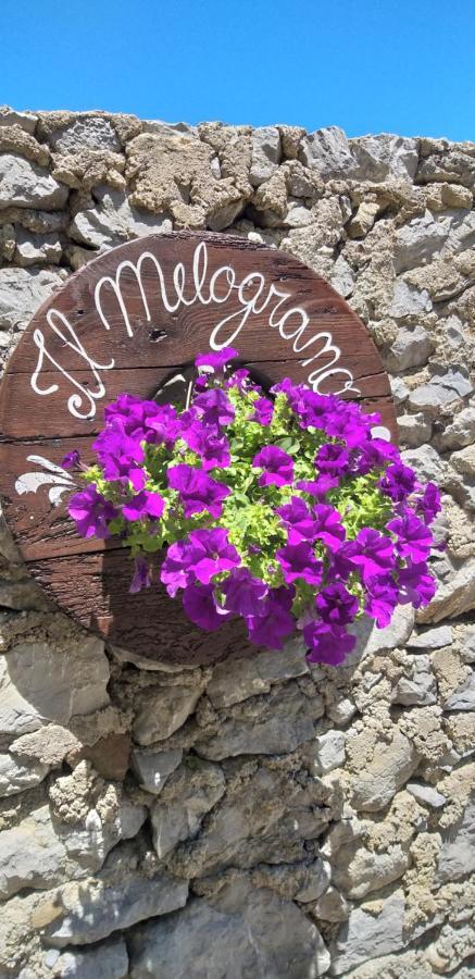 B&B Il Melograno Tortorella Εξωτερικό φωτογραφία