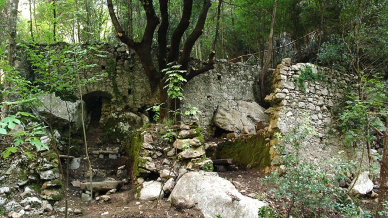 B&B Il Melograno Tortorella Εξωτερικό φωτογραφία
