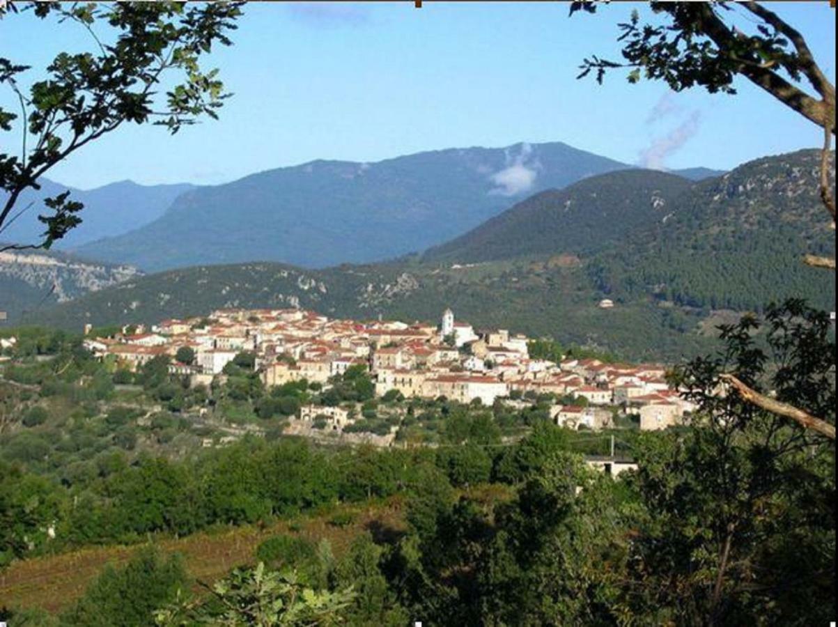 B&B Il Melograno Tortorella Εξωτερικό φωτογραφία