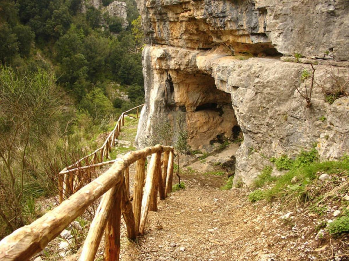 B&B Il Melograno Tortorella Εξωτερικό φωτογραφία