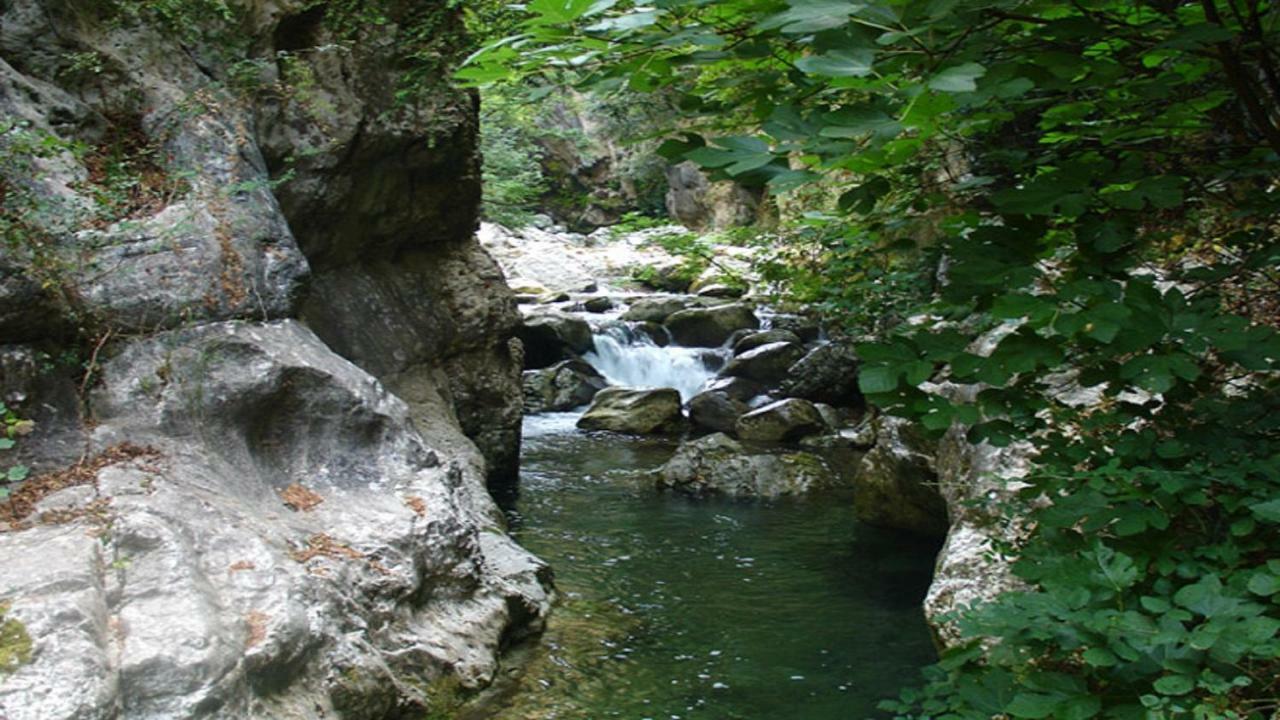 B&B Il Melograno Tortorella Εξωτερικό φωτογραφία