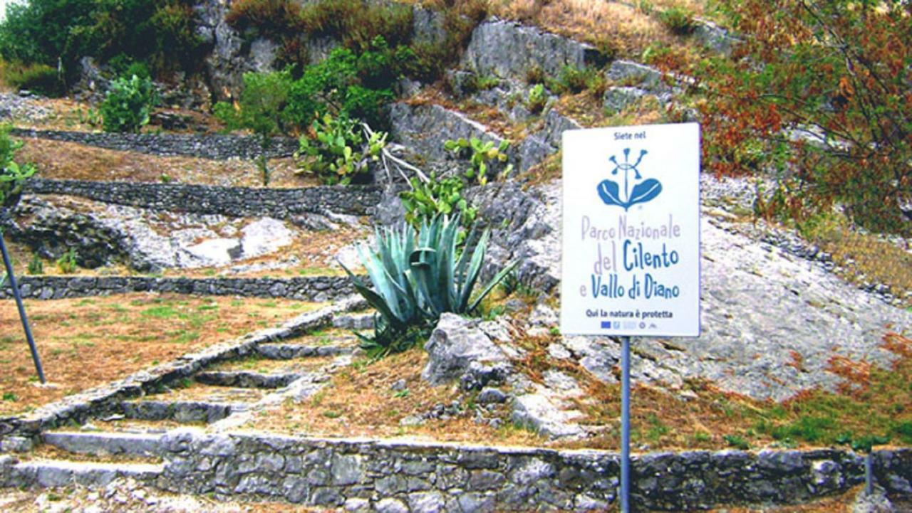 B&B Il Melograno Tortorella Εξωτερικό φωτογραφία