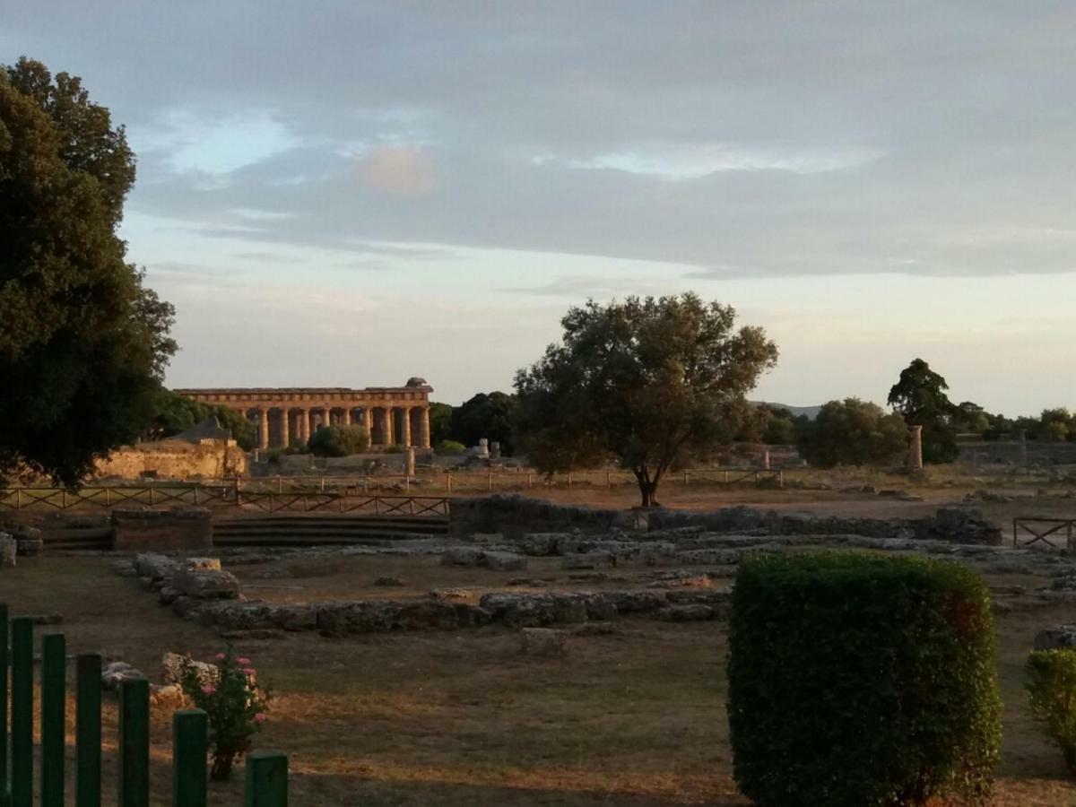 B&B Il Melograno Tortorella Εξωτερικό φωτογραφία