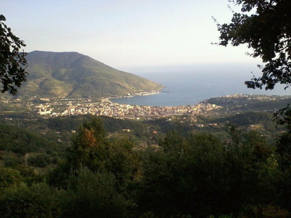 B&B Il Melograno Tortorella Εξωτερικό φωτογραφία