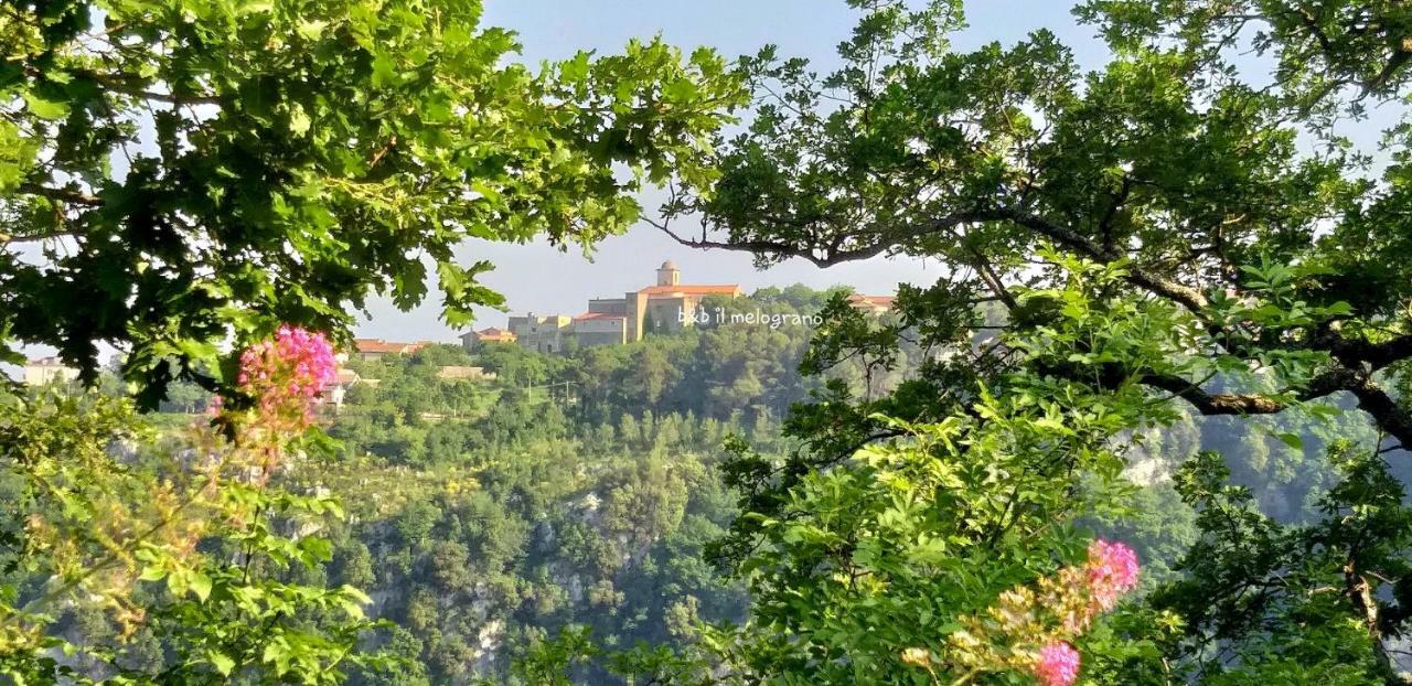 B&B Il Melograno Tortorella Εξωτερικό φωτογραφία
