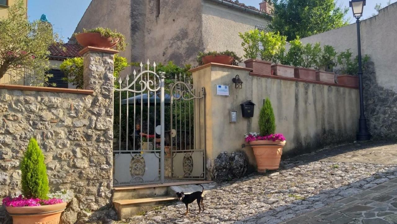 B&B Il Melograno Tortorella Εξωτερικό φωτογραφία